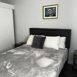 https://spacious-1-bedroom-apartment-with-pull-out-couch.comcaribbean.com
